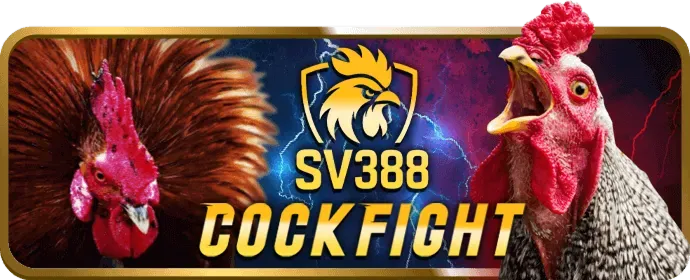 Ưu đãi Shbet88 Code độc quyền